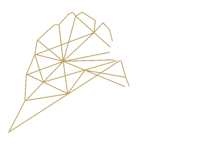 Luxury Chalet P